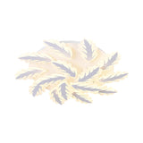 Windmill Acrylic Ceiling Light With 6/8/12 Brights In Warm White And Natural For Cozy Living Spaces