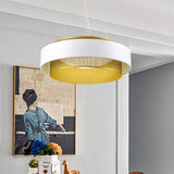 Modern Metal Circle Hanging Light With Mesh Screen And Acrylic Diffuser - White/Black-Gold Finish