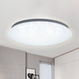 Modern Acrylic Led Ceiling Light Fixture In Warm/White/Natural – 15’/19’ Dia