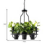 Vintage Bonsai Ceiling Chandelier Pendant Light Black Iron 1/2-Layer 3/6 Bulbs 19.5/27.5 Width