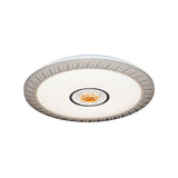 Acrylic Led Flush Ceiling Mount Light For Living Room & Kids Bedroom