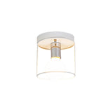 Industrial Metal Flushmount Light With Cage - Cylinder Corridor Design