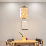 Contemporary Led Pendant Light With Elegant Amber/Smoke Grey Glass Globe/Cylinder/Oval Design For