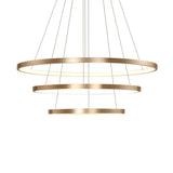 23.5/31.5 Gold Loop Chandelier Pendant With Modern Led Acrylic Ceiling Light In Warm/White