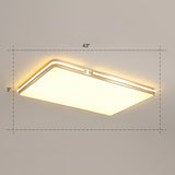 Contemporary Gold Finish Led Flush Mount Ceiling Light - Acrylic Rectangle Design / 43 Warm