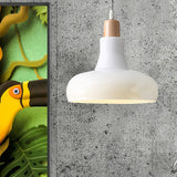 Modern Glass Pendant Lamp With Led Light In White Or Warm Tone - Bowl Cone Saucer Shape / Barn