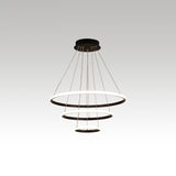 Halo Hanging Led Pendant Light - Minimalist Acrylic Design For Restaurants (3-Head) Black / 31.5