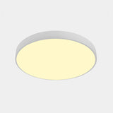 Nordic Led Ceiling Light With Acrylic Diffuser For Hallways - Sleek Metal Flush Mount