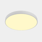 Nordic Led Ceiling Light With Acrylic Diffuser For Hallways - Sleek Metal Flush Mount