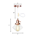 Height Adjustable Industrial Hanging Pendant Light - 1-Light Indoor Black/Bronze/Brass Finish With