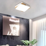 Contemporary Rectangular Acrylic Lighting Fixture - Flush Mount Ceiling Lights For Living Room