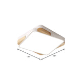 Contemporary Rectangular Acrylic Lighting Fixture - Flush Mount Ceiling Lights For Living Room
