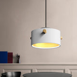 Modern 1 Light Metal Shade Hanging Pendant Green/Pink/White Cylinder Fixture