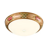 Frosted Glass Dome Led Flush Mount Ceiling Light - Korea Country Style (14/19.5 Diameter)