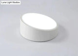 Ayla - Modern Minimalist Led Ceiling Lamp For Living Room And Bedroom Warm Light / 25 Cm White
