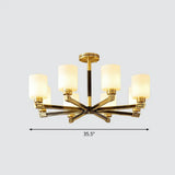 Black & Brass Satin Opal Glass Ceiling Chandelier For Antique Living Room 8 /