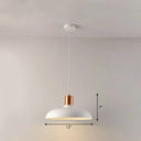 Bowl-Shaped Restaurant Pendant Light - Metal Construction Macaron Suspension Design With 1 Bulb