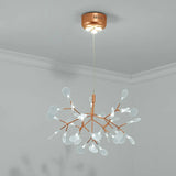 Bronze Designer Led Heracleum Chandelier: Acrylic Living Room Pendant Light Fixture 30 / White