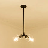 Contemporary Clear Glass Bubble Chandelier - 2/4 Light Fixture Black/Gold Hanging Ceiling 2 / Black