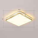 Contemporary Gold Finish Led Flush Mount Ceiling Light - Acrylic Rectangle Design / 16.5’ Warm