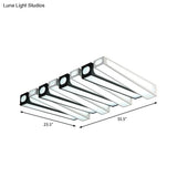Contemporary Led Linear Flush Mount Ceiling Light In Black And White For Foyer