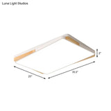 Contemporary Rectangular Acrylic Lighting Fixture - Flush Mount Ceiling Lights For Living Room