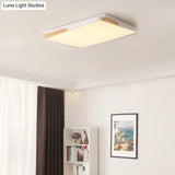 Contemporary Rectangular Acrylic Lighting Fixture - Flush Mount Ceiling Lights For Living Room