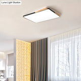 Contemporary Rectangular Acrylic Lighting Fixture - Flush Mount Ceiling Lights For Living Room
