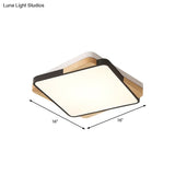 Contemporary Rectangular Acrylic Lighting Fixture - Flush Mount Ceiling Lights For Living Room