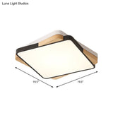 Contemporary Rectangular Acrylic Lighting Fixture - Flush Mount Ceiling Lights For Living Room
