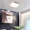 Contemporary Rectangular Acrylic Lighting Fixture - Flush Mount Ceiling Lights For Living Room