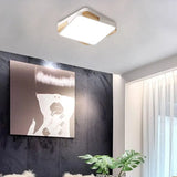 Contemporary Rectangular Acrylic Lighting Fixture - Flush Mount Ceiling Lights For Living Room