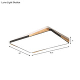 Contemporary Rectangular Acrylic Lighting Fixture - Flush Mount Ceiling Lights For Living Room