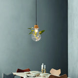 Industrial Clear Glass Dining Room Pendant Light Kit With Exposed Bulb And Wood Cap
