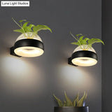 Industrial Clear Glass Dome Wall Sconce With Led Lighting And Plant Container In Black/Grey/White
