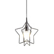 Metal Hanging Lamp: Round/Star Loft Style Ceiling Pendant Light In Black / Star
