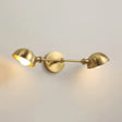Modern Brass Bowl Wall Light Fixture With 2 Heads - Bedroom Sconce Lighting