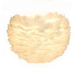 Modern Feather Wall Mount Lamp: Romantic & Cozy Sconce Lighting For Bedroom White / 3 Color
