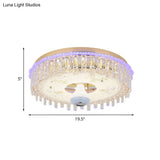 Modern Gold Flush Mount Ceiling Light Fixture With Led Crystal Block And Petal Pattern