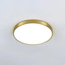 Modern Gold Metal Led Flush Mount Ceiling Lamp For Bedroom Lighting / 8