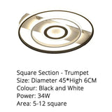 Modern Rectangle/Square/Circle Acrylic Led Ceiling Light White Color Black Remote Control For