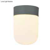 Modernist Metal & Frosted Glass Flush Mount Light - Pink/Gray Ceiling Lighting