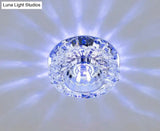 Nia - Flush Mount Small Led Ceiling Light For Art Gallery Decoration Front Balcony Lamp Porch Light
