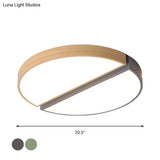 Nordic Acrylic Dual Sector Ceiling Fixture Led Flush Mount Light Green/Grey Warm/White