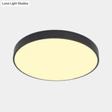 Nordic Led Ceiling Light With Acrylic Diffuser For Hallways - Sleek Metal Flush Mount