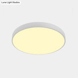 Nordic Led Ceiling Light With Acrylic Diffuser For Hallways - Sleek Metal Flush Mount
