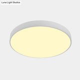 Nordic Led Ceiling Light With Acrylic Diffuser For Hallways - Sleek Metal Flush Mount