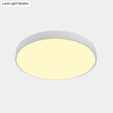 Nordic Led Ceiling Light With Acrylic Diffuser For Hallways - Sleek Metal Flush Mount
