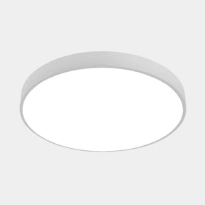 Nordic Led Ceiling Light With Acrylic Diffuser For Hallways - Sleek Metal Flush Mount White / 9’