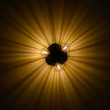 Rotatable Black Ceiling Lamp Lighting With Creative Cage Angle Adjustable G9 Lights Bulb For Store